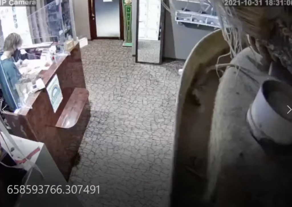 防犯カメラ映像